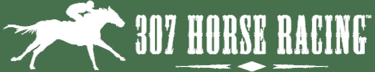 307 Horse Racing, LLC
